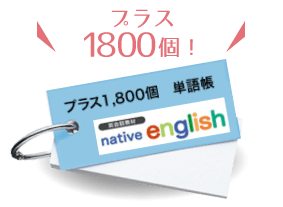 英語が楽しくなる英会話教材 Native English ネイティブイングリッシュ